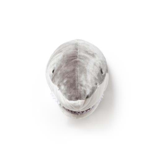 Köpek Balığı 'JACK' için detaylı bilgi göster Köpek Balığı 'JACK' resmi