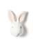 Tavşan 'ALICE' resmi