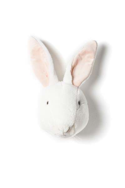 Tavşan 'ALICE' resmi