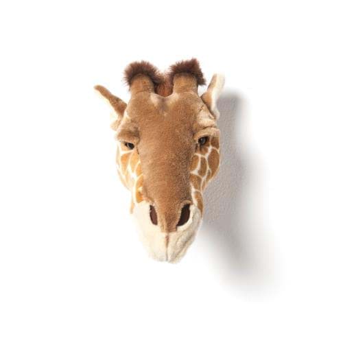 Zürafa 'RUBY' resmi