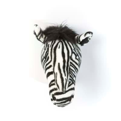 Zebra 'DANIEL' resmi
